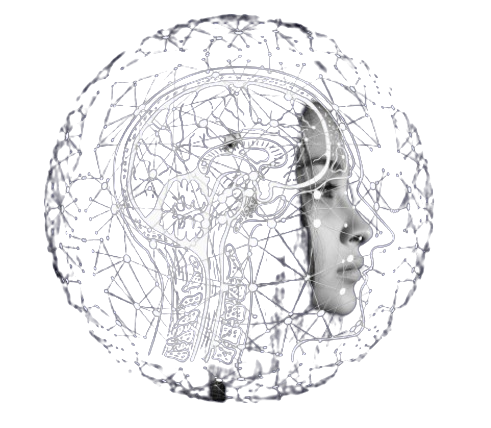 Brain cognition illustration