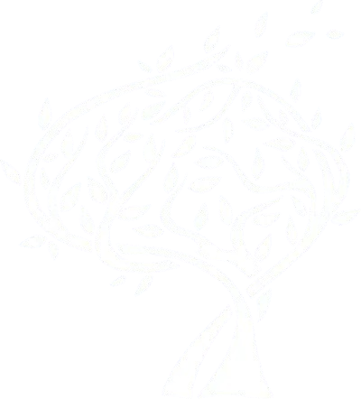 Center for Cognitive Testing Logo