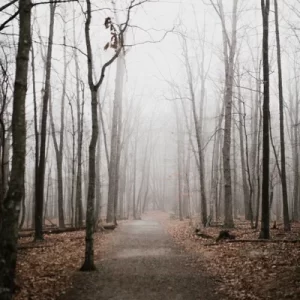 Brain imagery representing neurodegeneration